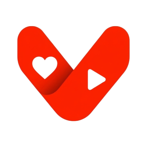 VidBoost Logo